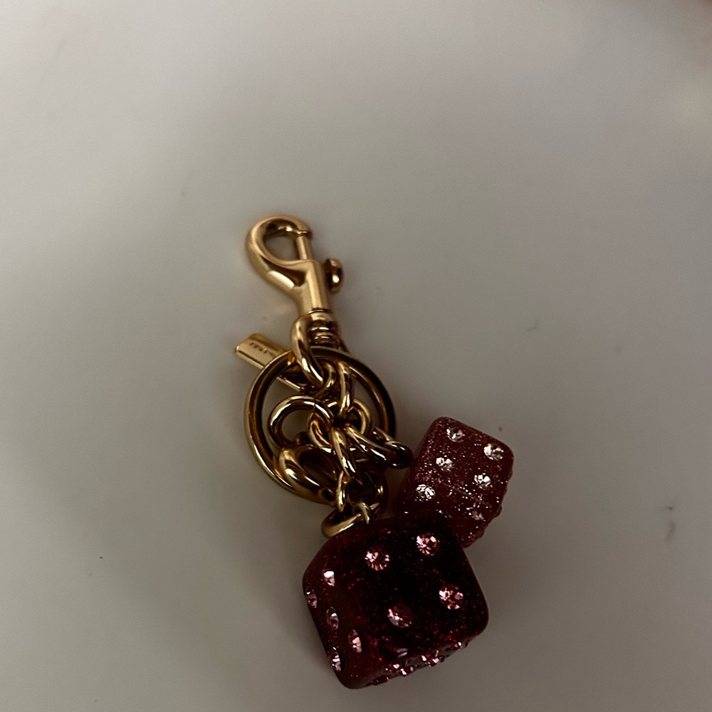 Coach bag charm